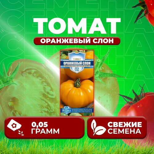 Томат Оранжевый слон, 0,05г, Гавриш, Русский богатырь (1 уп) семена томат оранжевый слон 0 1 г h13 русский богатырь