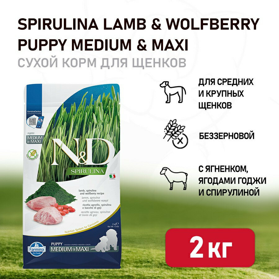 Farmina N&D Dog Spirulina Lamb & Wolfberry Puppy Medium&Maxi сухой корм для щенков средних и крупных пород с ягненком и ягодами годжи - 2 кг