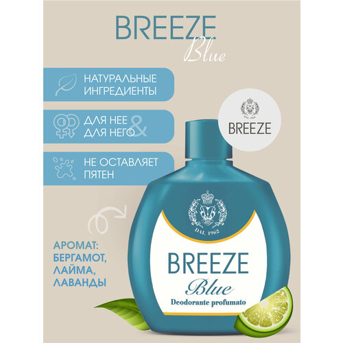 Breeze Парфюмированный Дезодорант-спрей Blue 100 мл