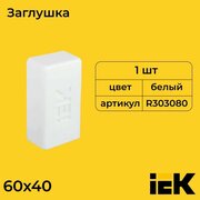 Заглушка для кабель-канала белый 60х40 IEK - 1шт