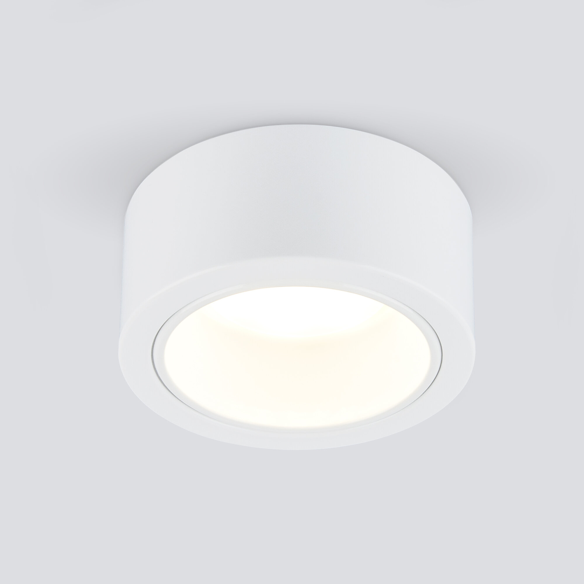 Спот / Накладной потолочный светильник Elektrostandard 1070 GX53 WH белый