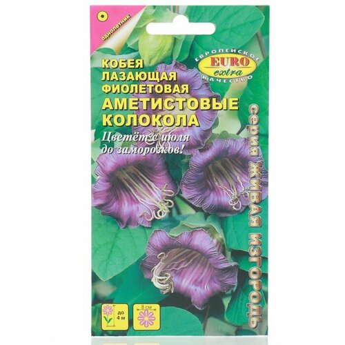 Семена цветов Кобея Аметистовые колокола фиолетовая, 0,3 г 2 шт