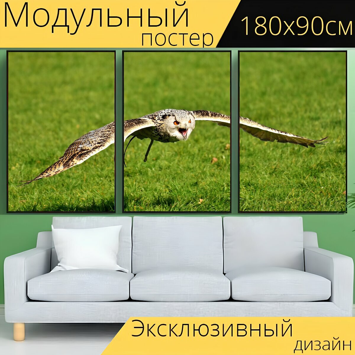 Модульный постер "Сова, птица, перья" 180 x 90 см. для интерьера