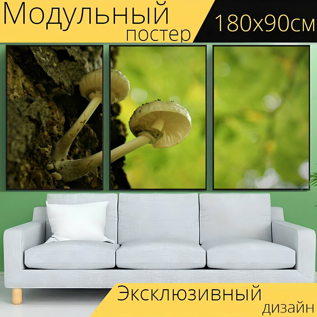 Модульный постер "Гриб, грибок, грибы" 180 x 90 см. для интерьера