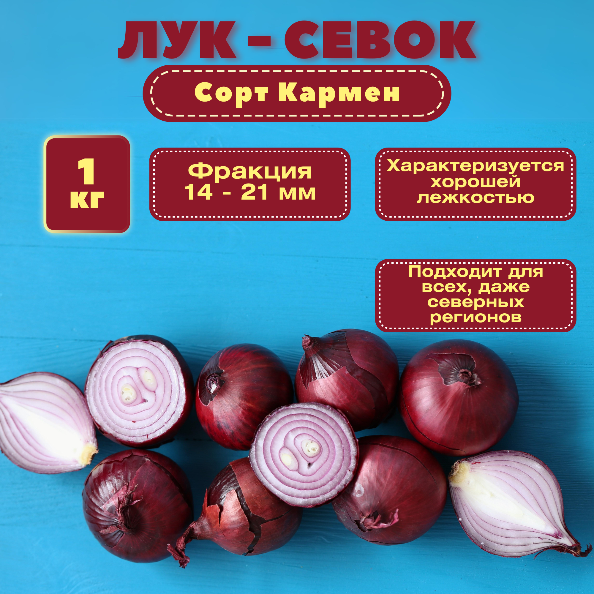 Лук севок - 