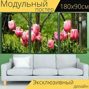 Модульный постер "Тюльпан, цветок, сад" 180 x 90 см. для интерьера