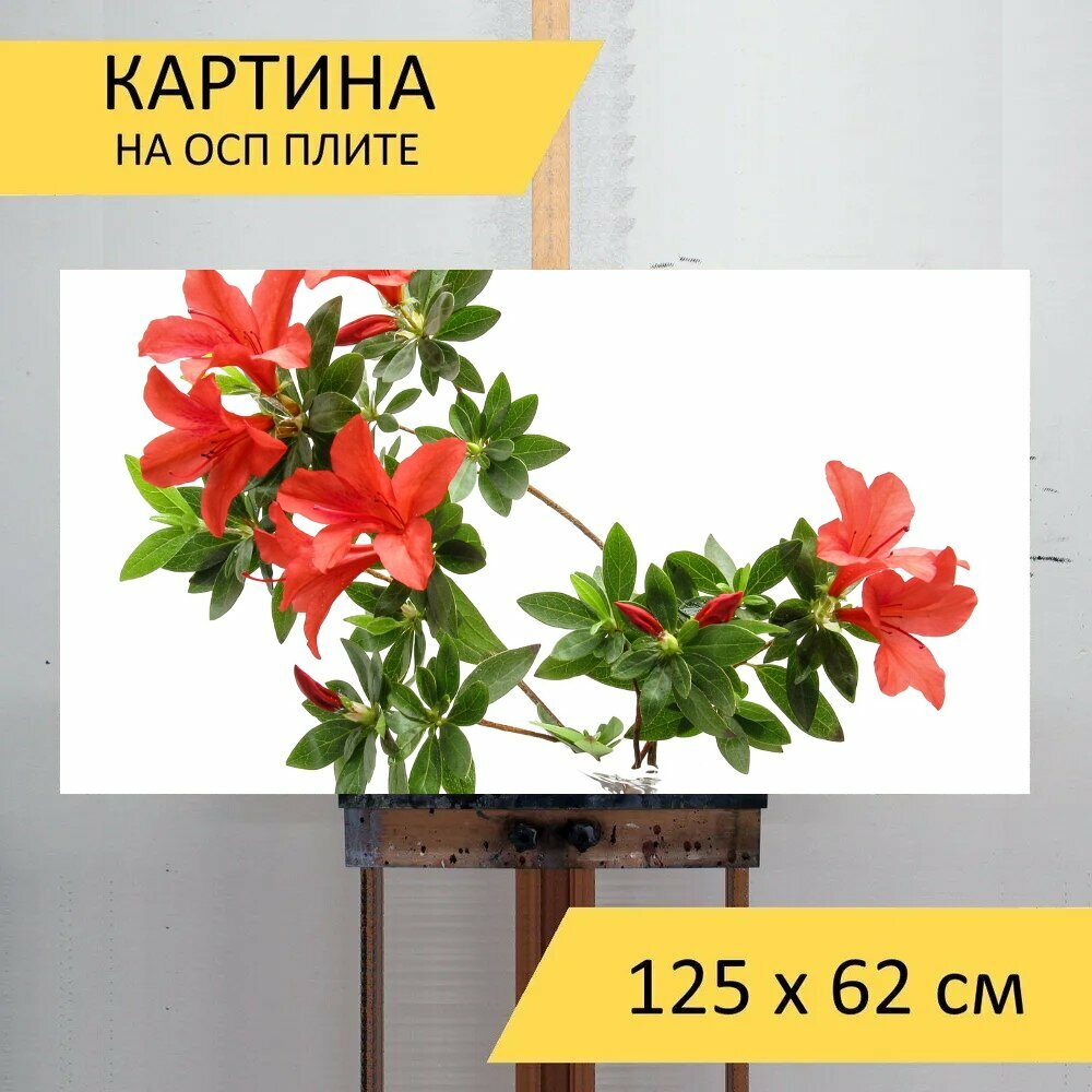 Картина на ОСП 125х62 см. 