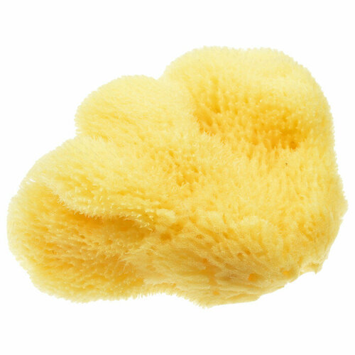 Губка Silk Fine №7 натуральная