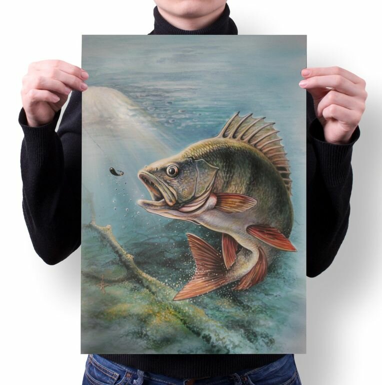 Плакат Рыбалка №2, А2