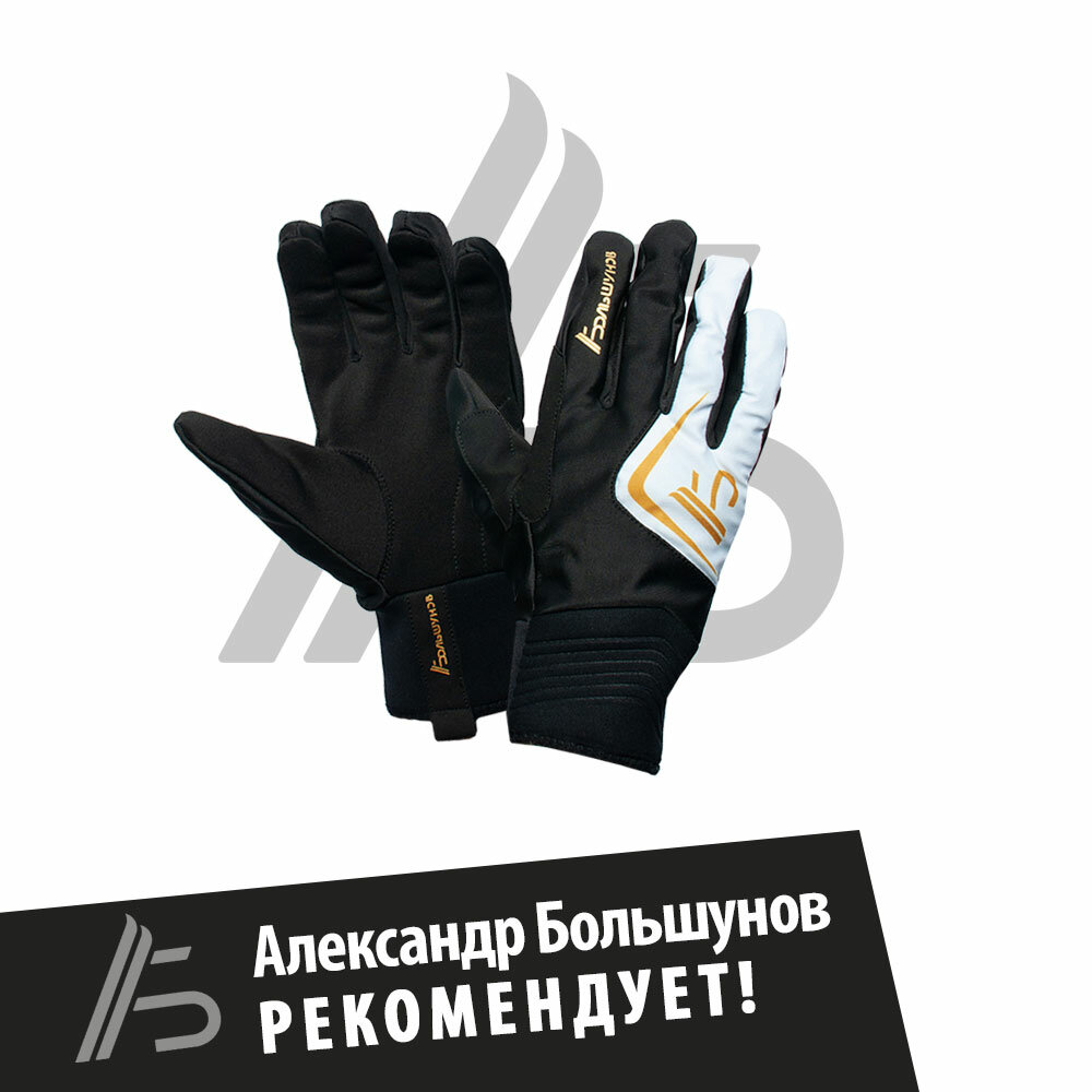 Перчатки Александр Большунов