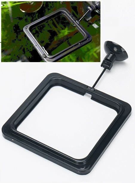 фото Кормушка для аквариумных рыбок на присоске квадратная