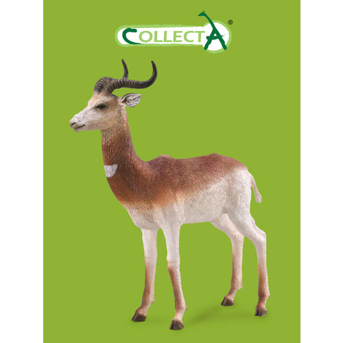 Фигурка животного Collecta, Газель Дама фигурка животного газель 12 5 см