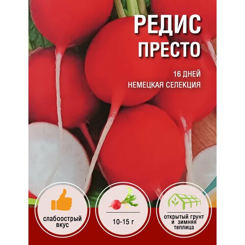 Редис Престо (1 пакет по 3гр)