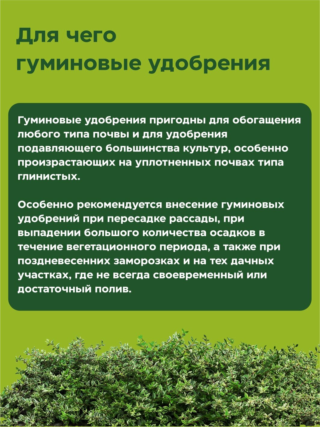 Удобрение "Гумат+7 Калия" - жидкое концентрированное удобрение для сада и огорода,для растений,для цветов1л - фотография № 2