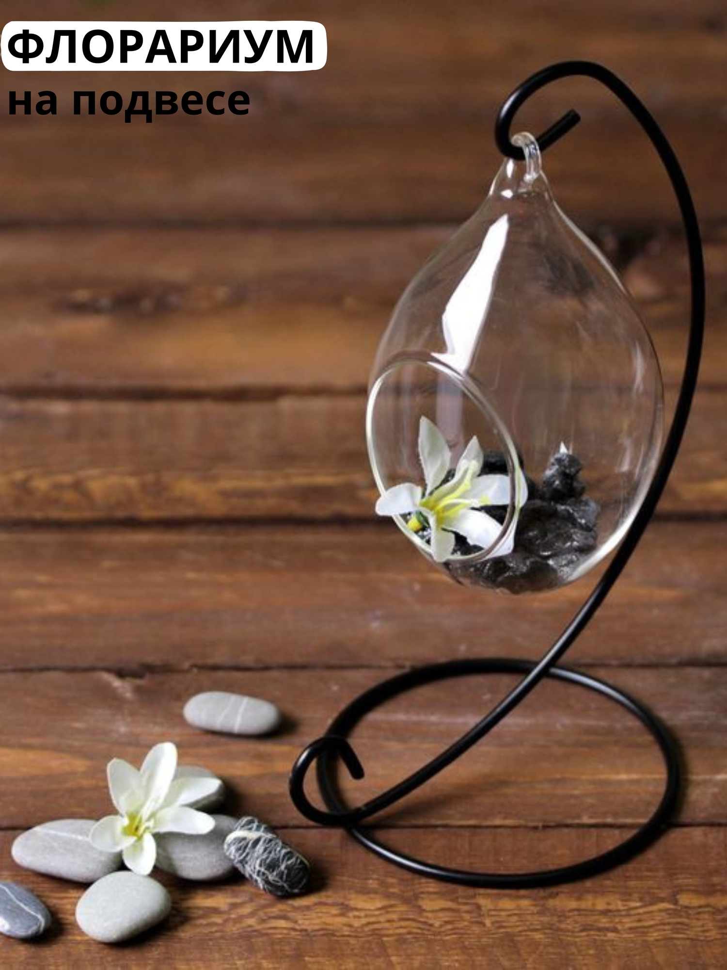 фото Флорариум "На подвесе"