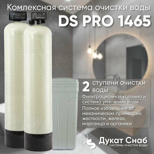 ds filter standart 1465 для очистки воды из скважины от железа и марганца Комплексная система очистки воды для дома, дачи, коттеджа DS PRO 1465. Две колонны для умягчения воды, удаления жесткости, марганца, сероводорода, органики