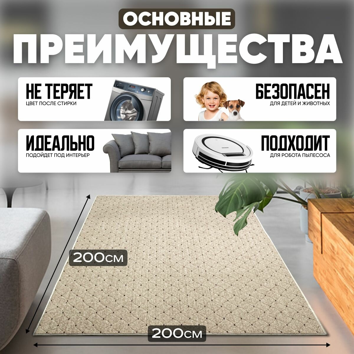 Ковер на пол для комнаты, безворсовый в прихожую, паласы в детскую комнату, для кухни, ванной комнаты, детский, круглый (овальный) на балкон, в гостиную, прихожую, ковровая дорожка в коридор, спальню, комнатный, 200 на 200; 200х200; 2 на 2; 2х2 — фото 1