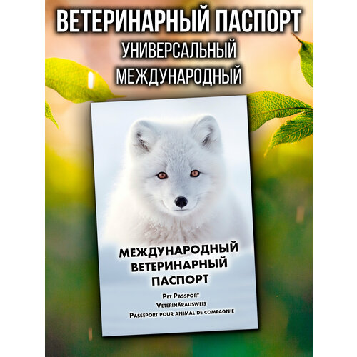 Ветеринарный паспорт для кошек и собак международный