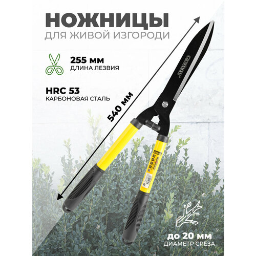Ножницы для изгороди Crownman 0580112 255мм