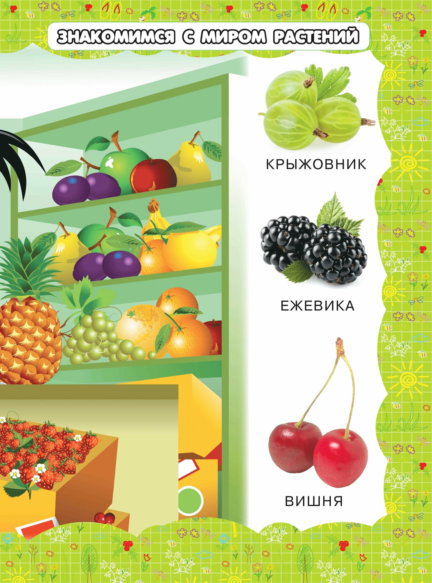 Книга Моя первая энциклопедия для девочек. Детская энциклопедия - фото №12