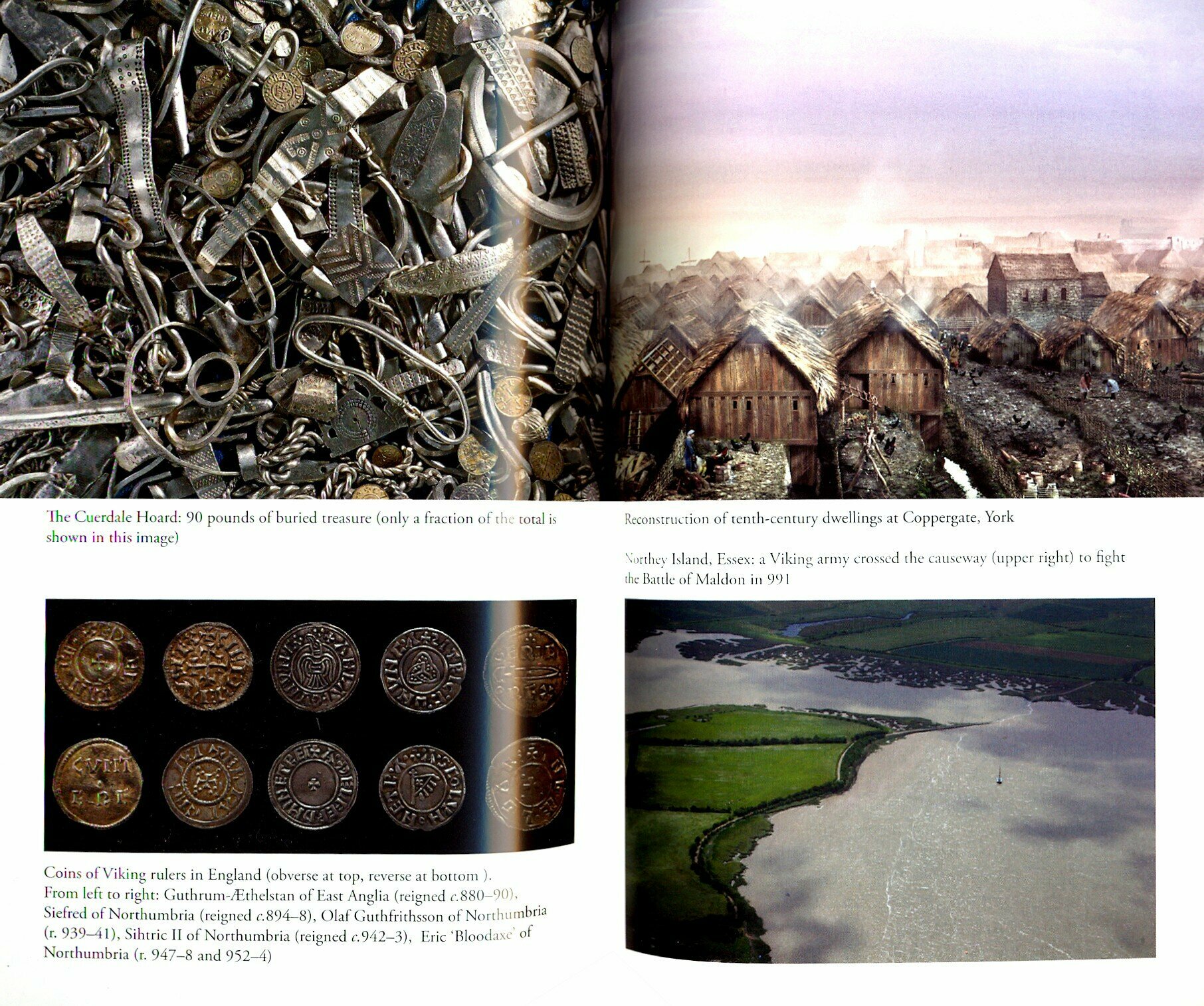 Viking Britain. A History (Williams Thomas) - фото №2