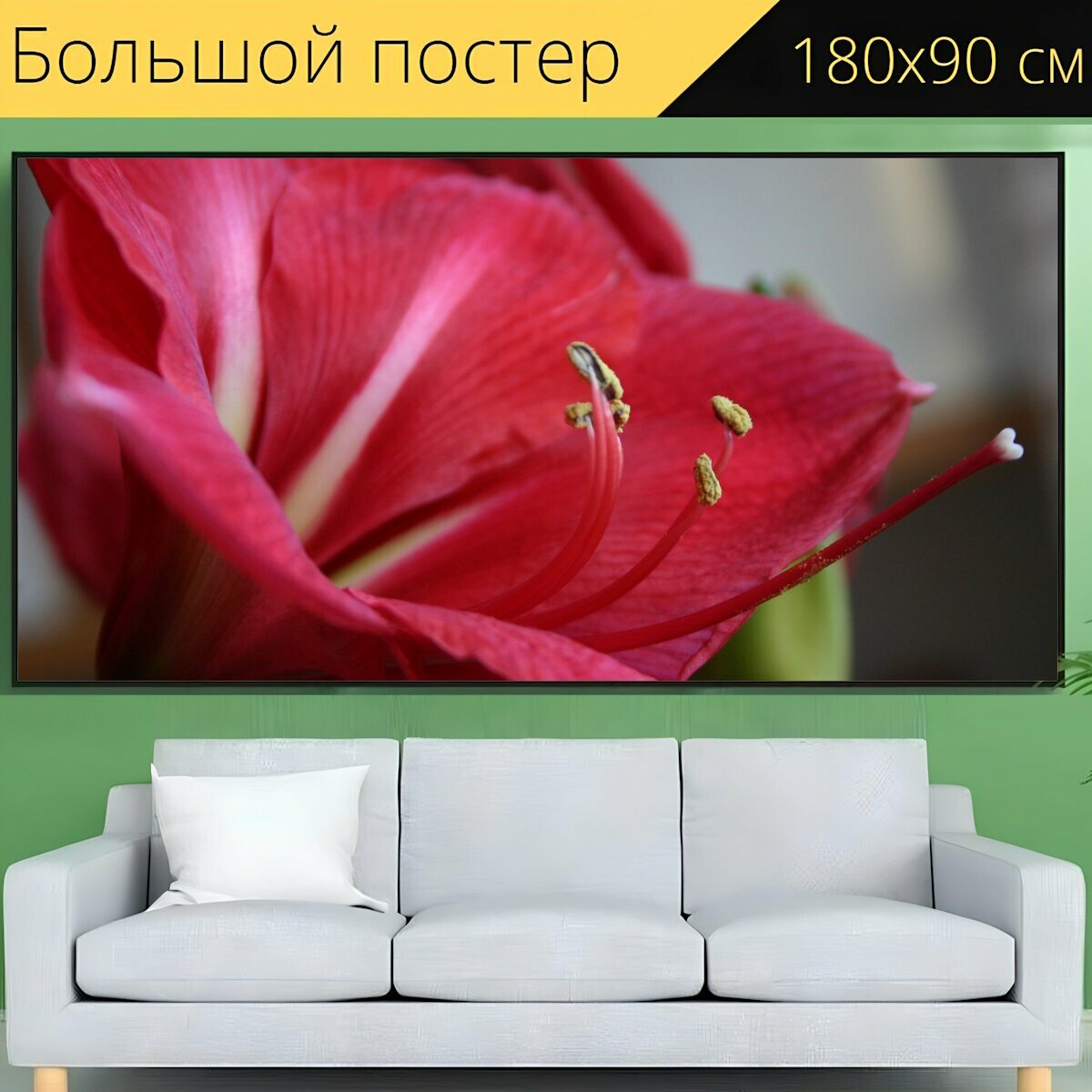 Большой постер "Амариллис, цветок, красный цветок" 180 x 90 см. для интерьера