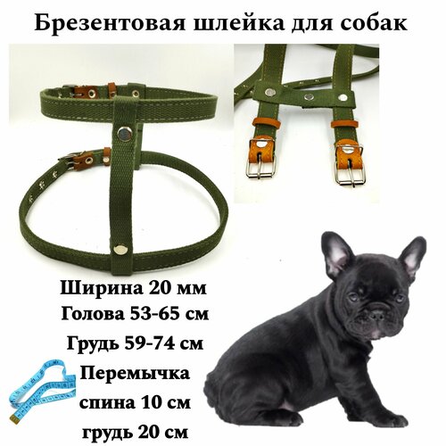 Шлейка брезентовая для средних пород собак и щенков. Ширина 20 мм.