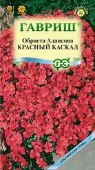 Семена Обриета Адансона Красный каскад, 0,05г, Гавриш, Альпийская горка, 10 пакетиков