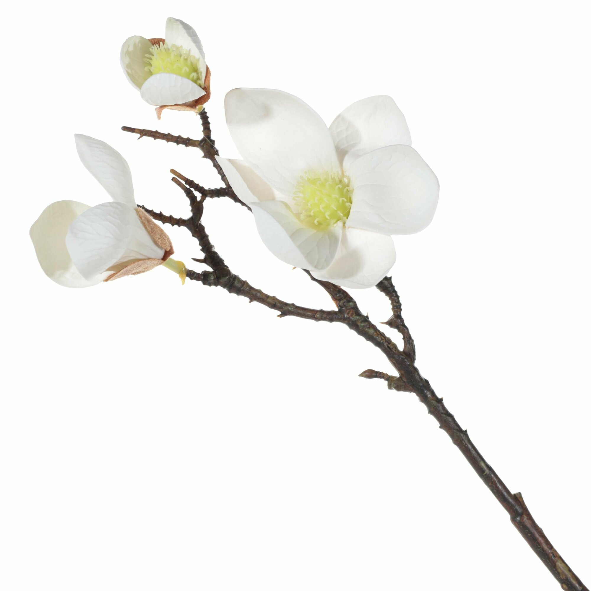 Ветка декоративная 42 см пластик/сталь Белая магнолия Magnolia
