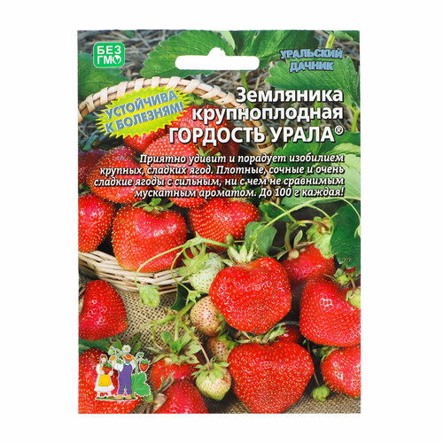 Семена Земляника Гордость Урала , 10 шт земляника гордость сибири крупноплодная семена