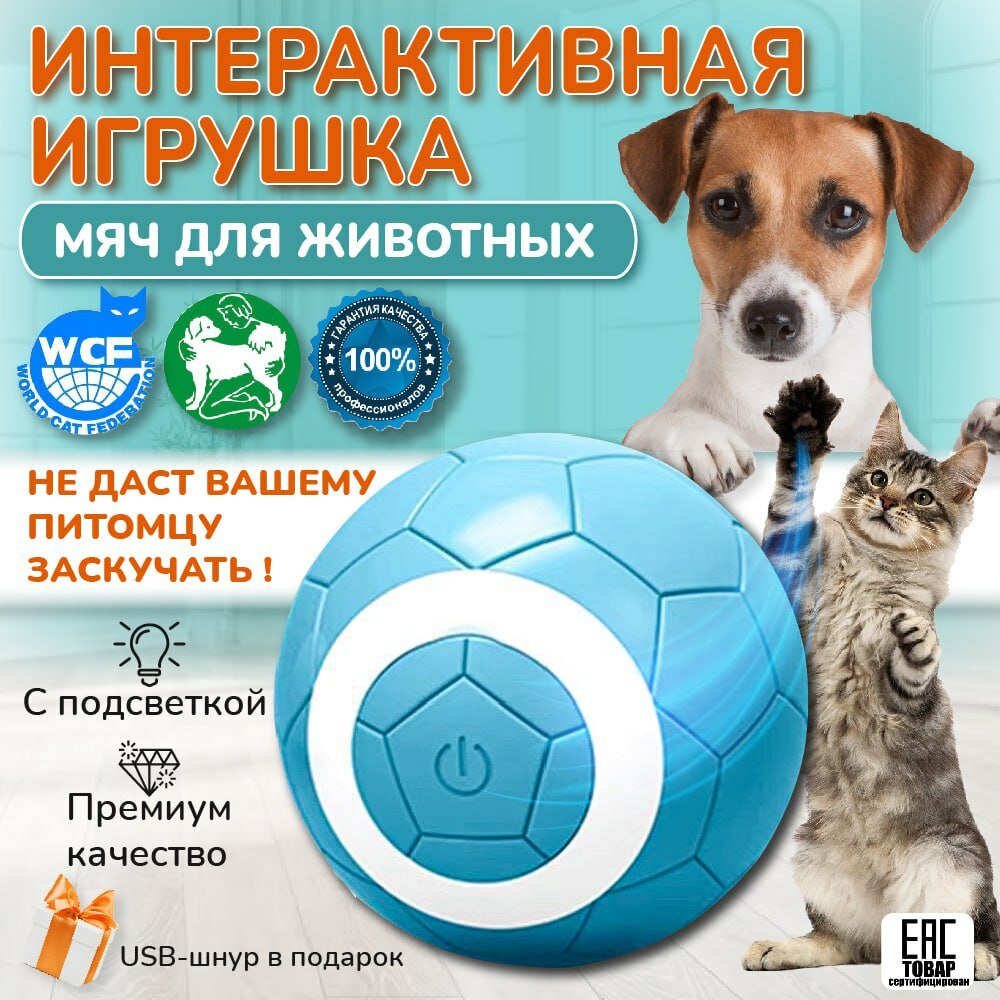 Мяч игрушка интерактивная для котят, игрушка для собак и кошек