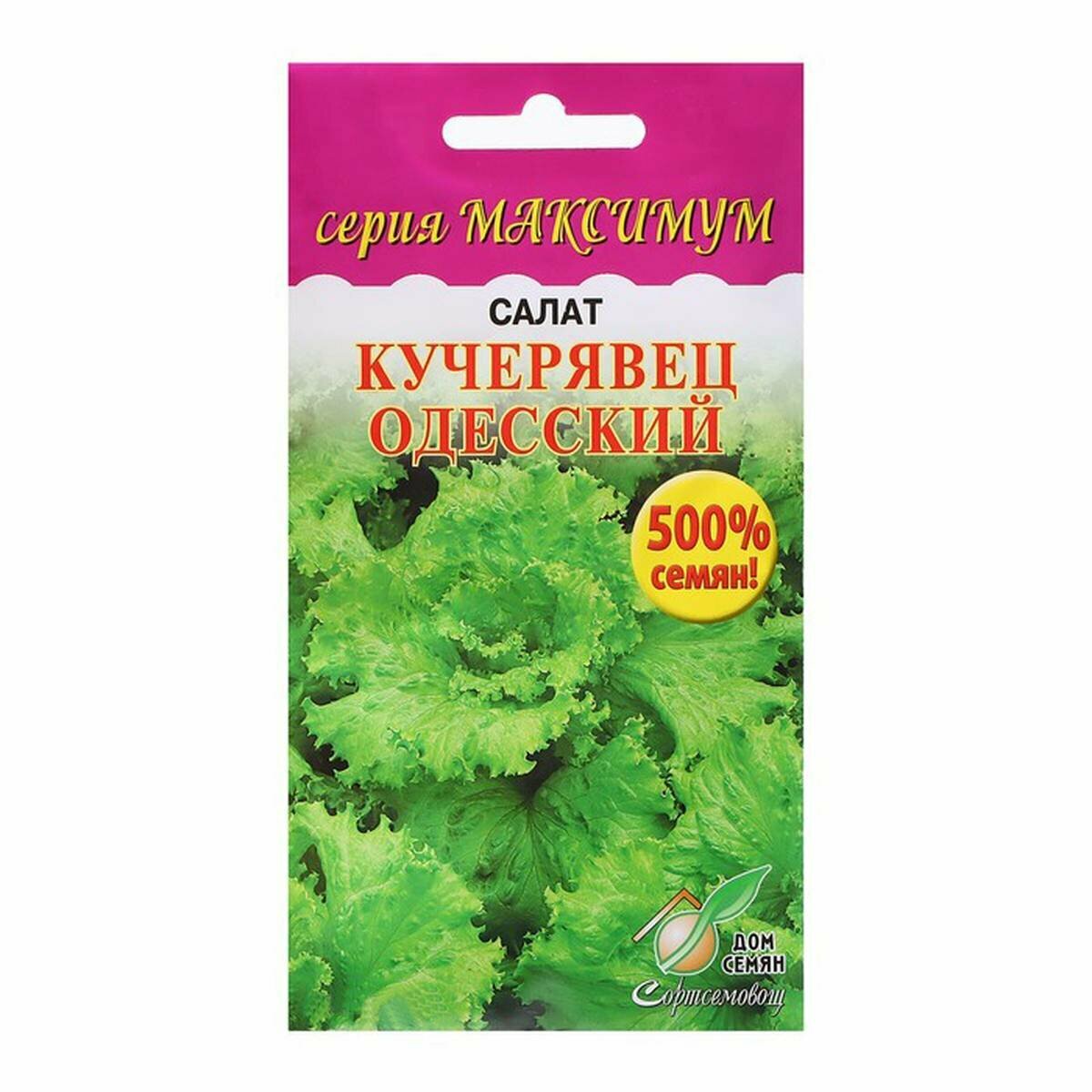 Семена Салат 