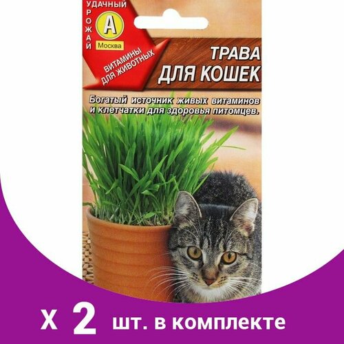 Семена 'Трава для кошек', ц/п, 20 г (2 шт) семена трава для кошек 10 г 2 шт