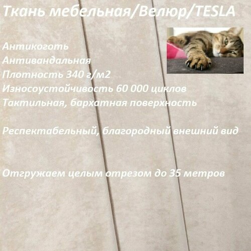 Ткань мебельная 100KOVROV антикоготь Велюр TESLA_02 сетло-бежевый, 1 п. м, ширина 140 см