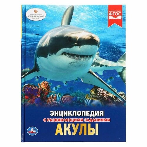 алексеев м русская тема в европейской литературе Обучающая книжка Энциклопедия Акулы с развивающими заданиями, изучаем морской мир, книга в твердом переплете, расширяем кругозор