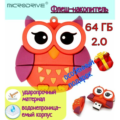 USB флешка Microdrive Флеш-накопитель, детская подарочная карта памяти USB 2.0. 64 Гб Звери Сова флеш карта накопитель usb 64 гб