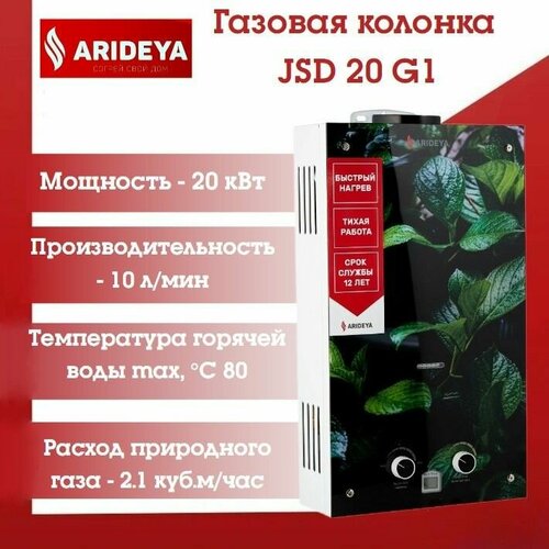 Газовая колонка ARIDEYA JSD 20 G1 Листья 1256000₽
