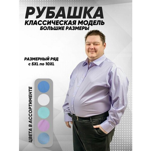 Рубашка Caress, размер 9XL, фиолетовый