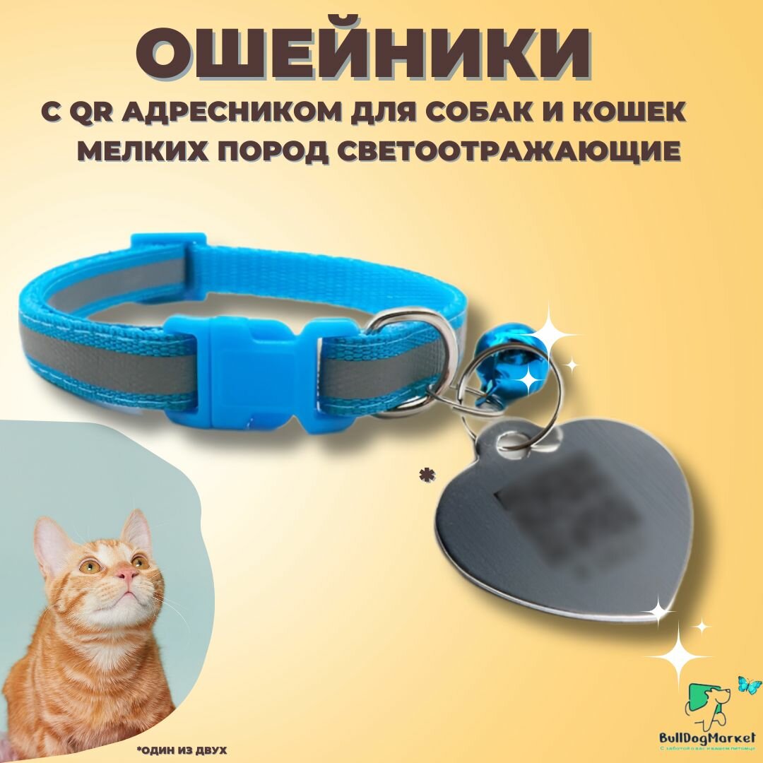 фото Ошейник для собак мелких пород, ошейник для кошек с QR адресником, колокольчиком и светоотражающей лентой