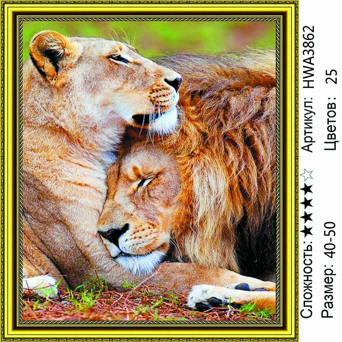 Алмазная мозаика 40х50см на подрамнике. Львиная любовь. Лев и львица. Животные.