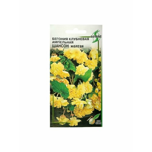 Семена цветов Бегония ампельная Шансон клубневая, желтая бегония ампельная желтая 1 уп 2 шт
