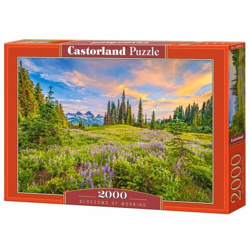 Castorland Пазл «Утренние цветы», 2000 элементов пазл castorland натюрморт с цветами 2000 элементов