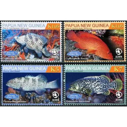 Папуа Новая Гвинея. 2011. Рифовые рыбы. Груперы (Серия. MNH OG)
