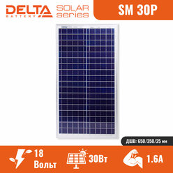 Солнечная панель DELTA 30-12P