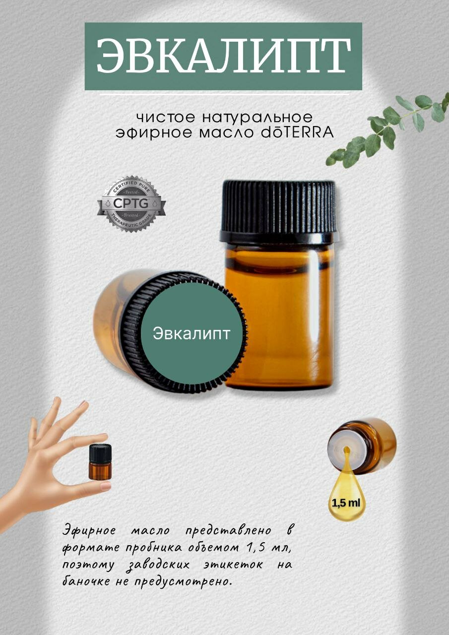 DoTERRA Эфирное масло Эвкалипт 1,5 мл