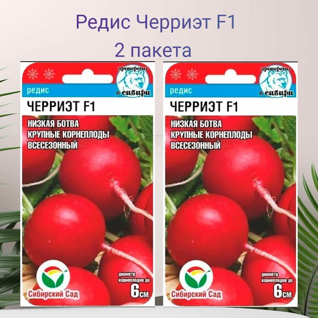 Редис Черриэт F1 2 пакета по 100шт семян (всесезонный)