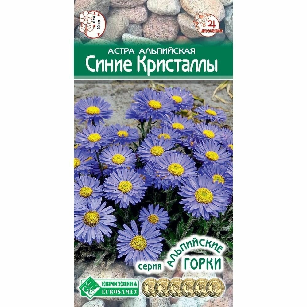 Астра...