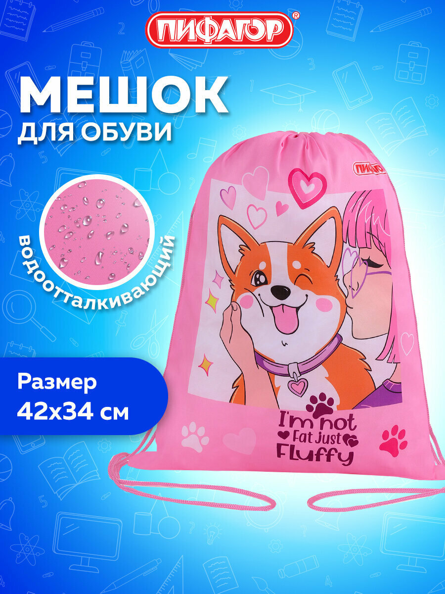 Мешок для обуви Пифагор 1 отделение 42х34 см Fluffy akita 272385