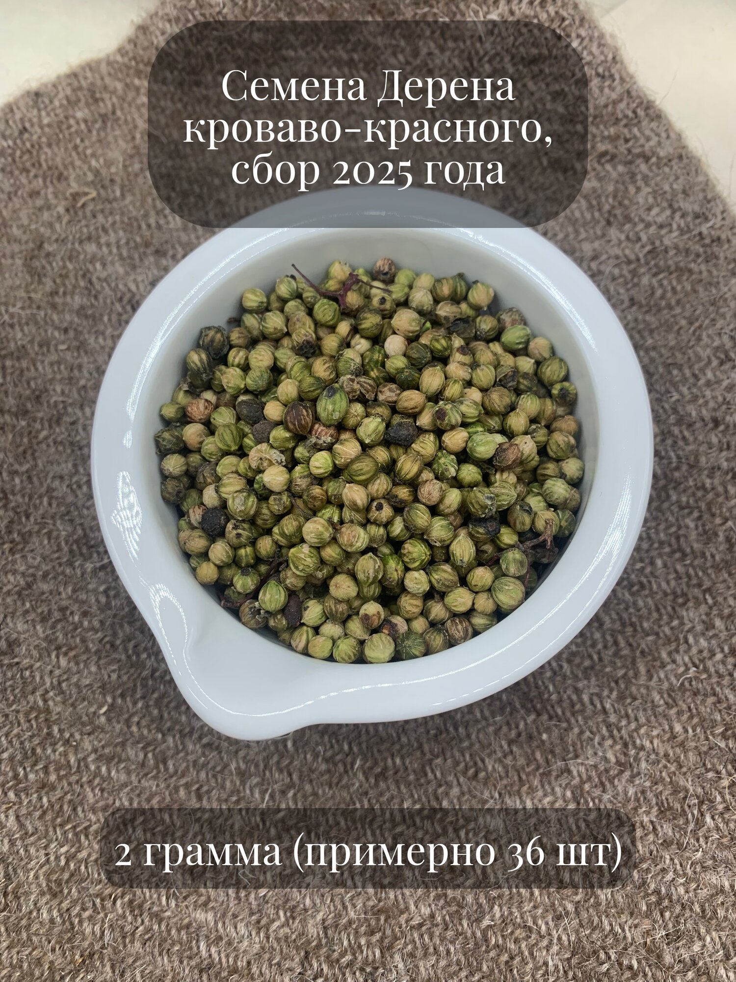 Семена Дерена кроваво-красного декоративного подходит для живой изгороди 2 грамма (примерно 36 шт)