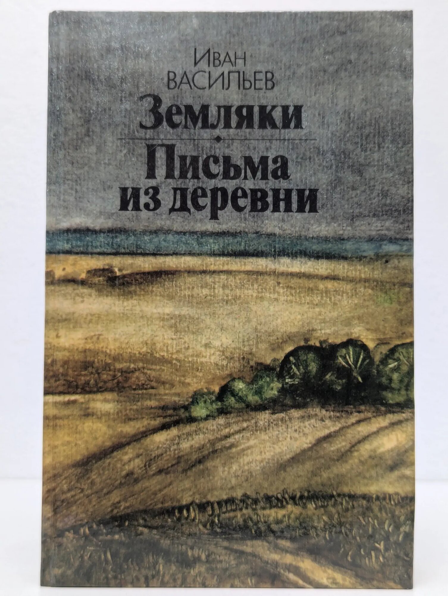 Земляки. Письма из деревни Васильев Иван Афанасьевич 1985